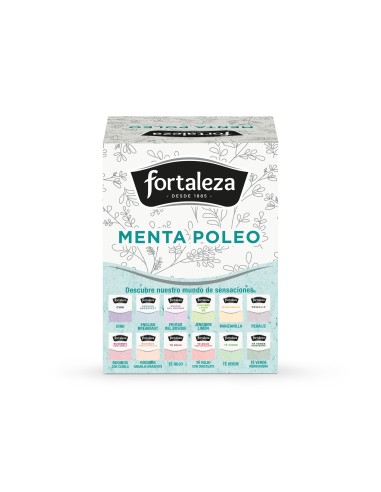 menta-poleo-15-piramides (1)